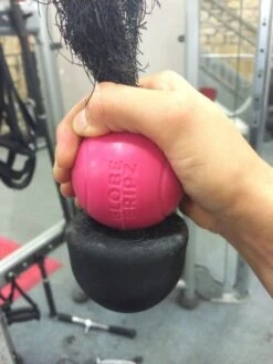 Globe Gripz® Venus 13 Globe Gripz® Venus -Gymforge Fitness Shop 2014 07 31 212
