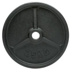 25kg Cast Iron Olympic Weight (1of)