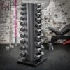 Chrome Dumbbell Set 1-10kg + Rack -Gymforge Fitness Shop ck satz r 3907 detail01