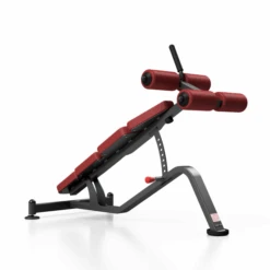 TGR Series Adjustable Sit-up Bench -Gymforge Fitness Shop eng pm lawka regulowana na brzuch mp l205 marbo sport 24546 4