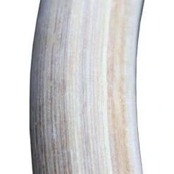 ATX Wooden Gym Rings -Gymforge Fitness Shop gym rings holz 1 paar inklusive straps 3467 4