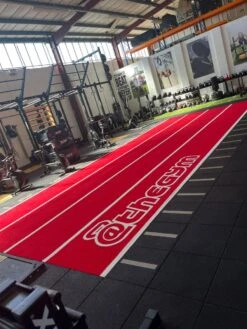 Bespoke - Grasshopper Artificial Grass Performance Speed Track